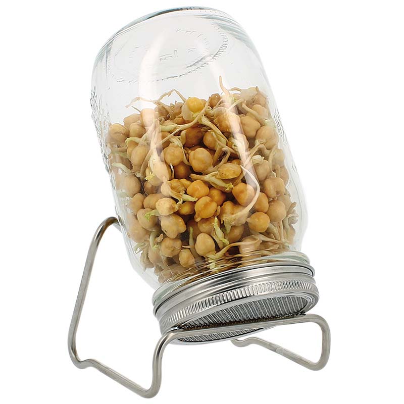 Eschenfelder 1er-Sprossen-Set mit 1000 ml Glas, Edelstahlring