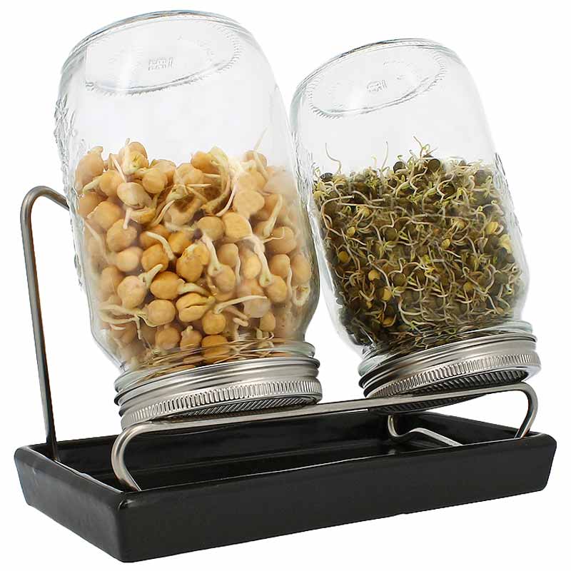 Eschenfelder 2er-Sprossen-System 1000 ml Glas, Anthrazit, Edelstahlring